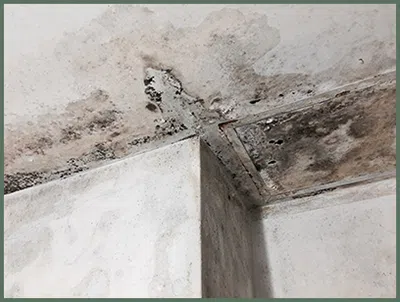 Palm Beach Gardens Restoration Company Palm Beach Gardens, FL 561-396-9129 - Water-damage