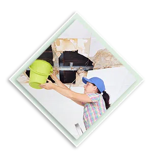 Palm Beach Gardens Restoration Company Palm Beach Gardens, FL 561-396-9129 - sb-ser-01