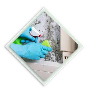 Palm Beach Gardens Restoration Company Palm Beach Gardens, FL 561-396-9129 - sb-ser-03