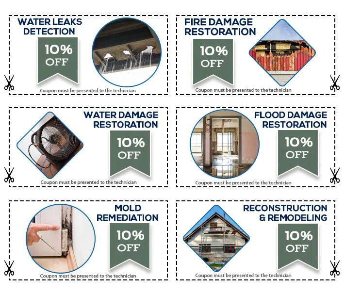 Palm Beach Gardens Restoration Company Palm Beach Gardens, FL 561-396-9129 Palm Beach Gardens Restoration Company Palm Beach Gardens, FL 561-396-9129 - set-6